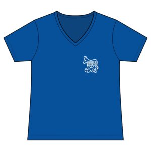 Dems T-Shirt - Women's V-Neck